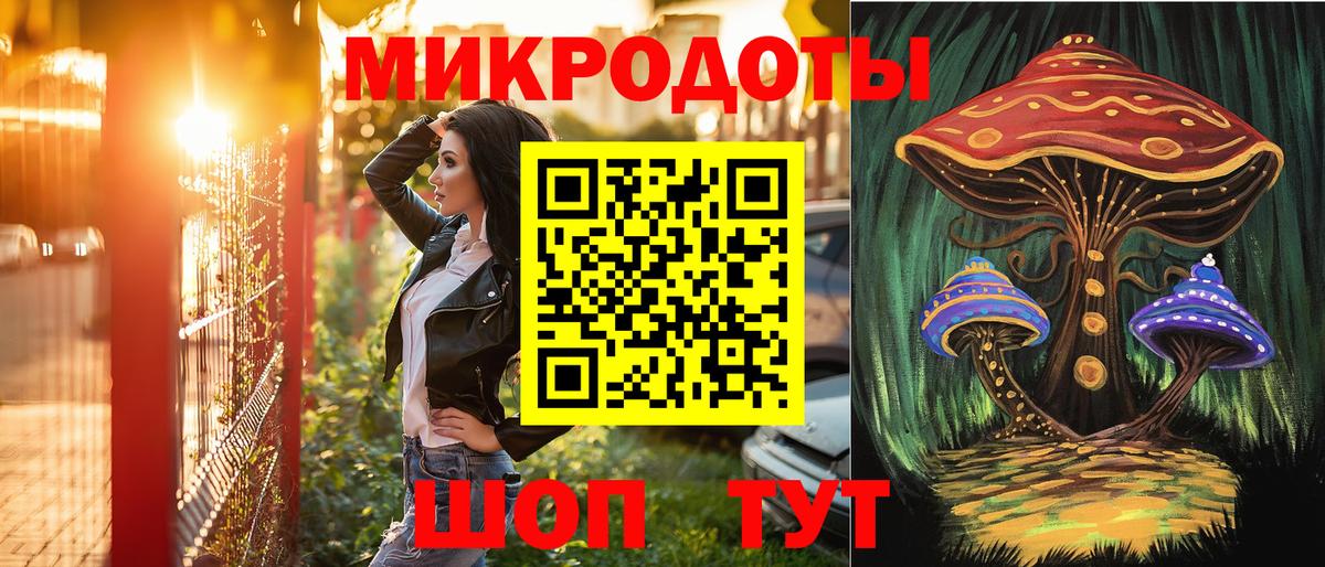 Галлюциногенные грибы Psilocybine cubensis Нововоронеж