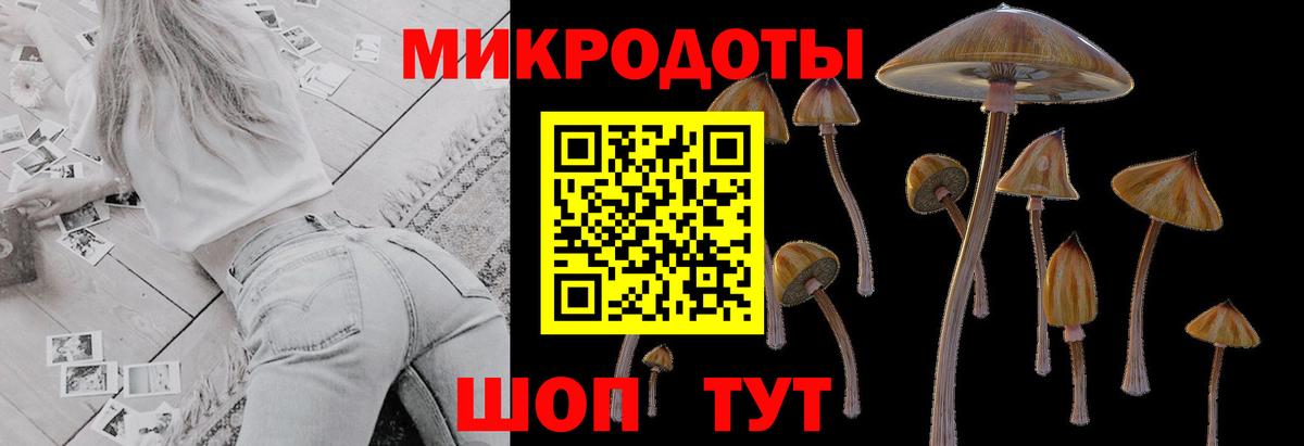 Нововоронеж  Галлюциногенные грибы мухоморы  магазин продажи наркотиков  Вход с VPN 
